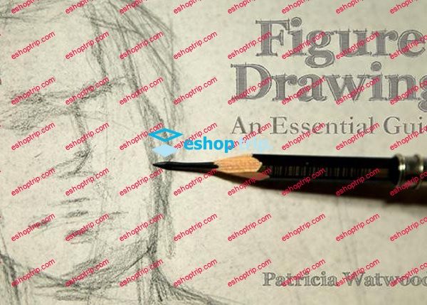 mybluprint Figure Drawing An Essential Guide