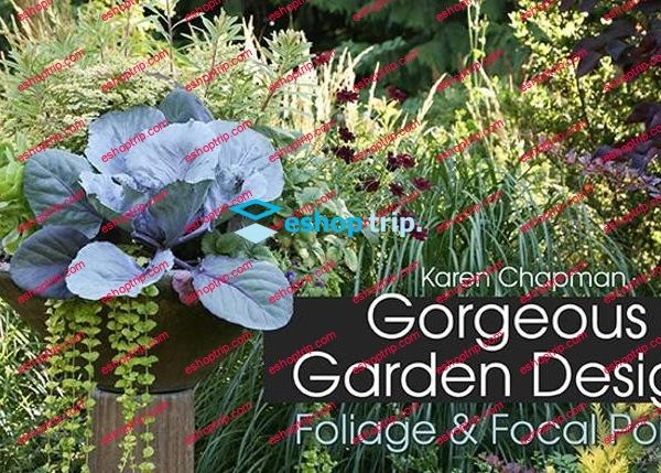 mybluprint Gorgeous Garden Design Foliage Focal Points