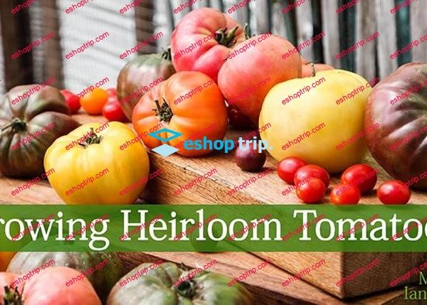 mybluprint Growing Heirloom Tomatoes