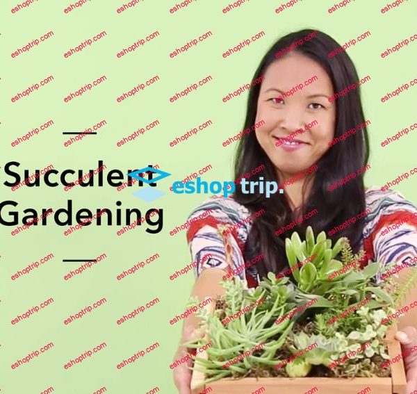 mybluprint Succulent Gardening