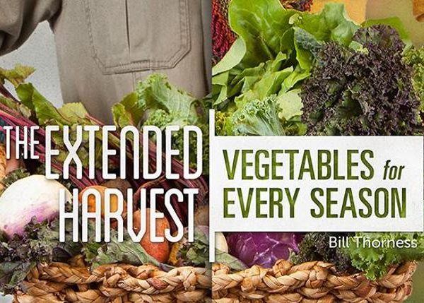 mybluprint The Extended Harvest Vegetables for Every Season