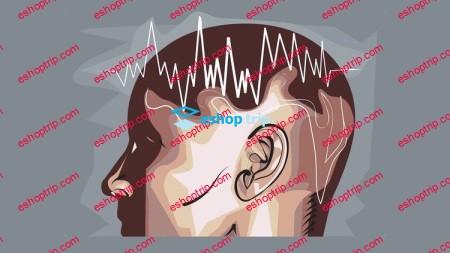 Neuroscience and Psychology Electroencephalography EEG