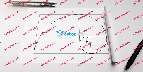 Videohive Phi Golden Ratio Logo 19595904