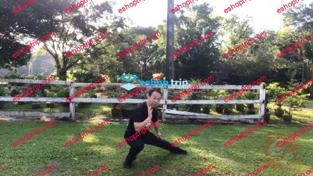 Authentic Fighting Tai Chi Chen New Frame Routine XinJia 1