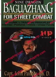 Baguazhang For Street Combat