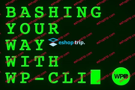 Bashing Your Way with WP CLI