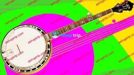 Beginner 5 String Banjo Learn Banjo From Scratch Banjo