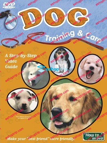 Easy Dog Training Care 1