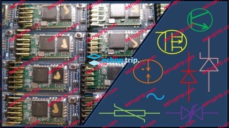 Electronic Protection Devices and Circuits