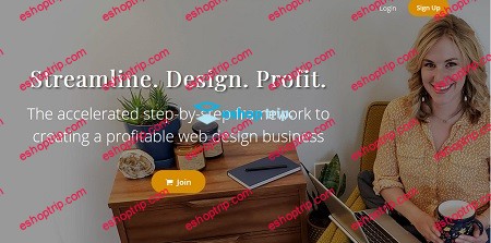 Erin Flynn Streamline Design Profit 1