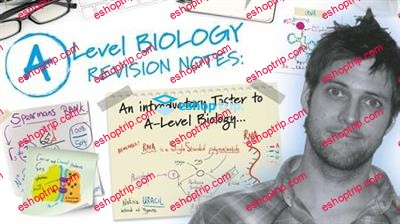 A Level Biology An introduction to key concepts