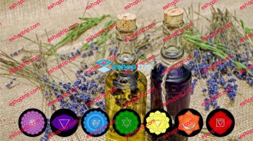 Accredited Aromatherapy Certificate for Chakra Kundalini