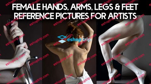 Artstation Grafit Female Hands Arms Legs Feet Reference