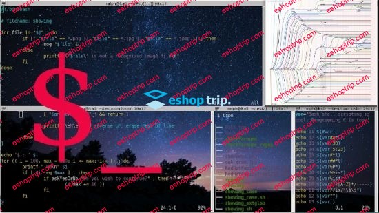 Bash Shell Programming from the Ground Up