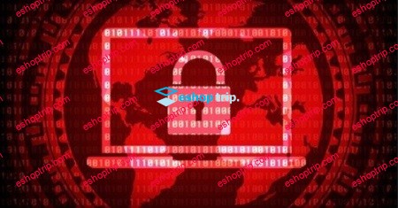 Cyber Security 2020 Beginners Guide to Cyber Security