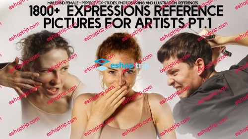 Gumroad Grafit Studio 1800 Expressions Reference Pack for artists