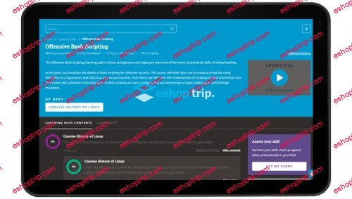 Infosecinstitute Offensive Bash Scripting