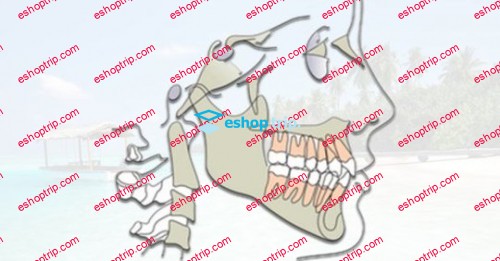 Orthodontic Treatment Planning for dental professionals