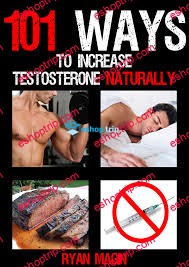 Ryan Magin 101 way To Increase testosterone