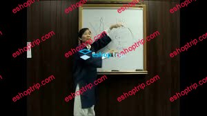 Waysun Liao Taichitao COURSE Advanced Theory of Internal Work Neigong Part One