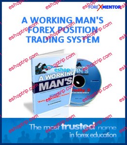 A Working Mans Forex Position Trading System