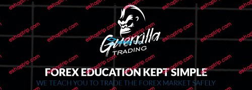 Guerrilla Trading – The Guerrilla Online Video Course Bigger Version