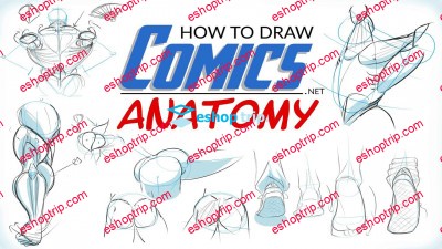 How To Draw Comics Anatomy