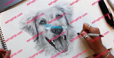 How to Draw Realistic Pet Portraits Dogs