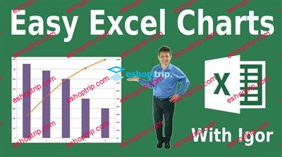 Igor Ovchinnikov – Microsoft Excel Charts Master Class