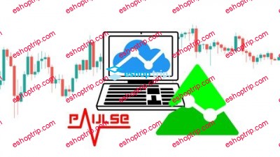 Learn TradingView Pine Script Programming From Scratch