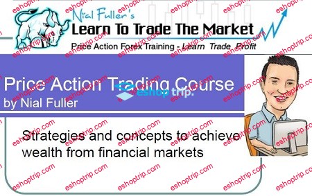 Nial Fullers Price Action Trading Course