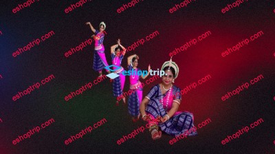 Odissi Beginners Blueprint Indian Classical Dance