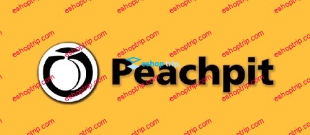 Peachpit Designing Effective Logos