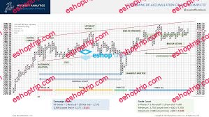 Roman Bogomazov and Bruce Fraser Wyckoff Point Figure Charting