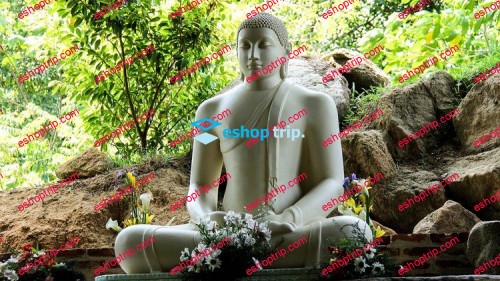 Vipassana Meditation Course Buddhas Meditation