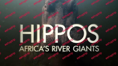 BBC Natural World Hippos Africas River Giants 2019