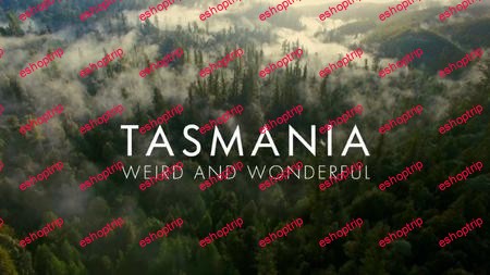 BBC Natural World Tasmania Weird and Wonderful 2019