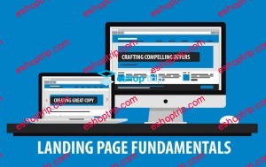 Dan Johnston – Landing Page Fundamentals Buyer Psychology and Conversions