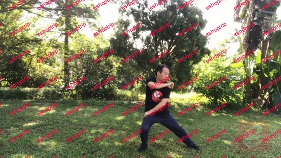 Sparring Tai Chi Chen New Frame Routine 2 for Fitness