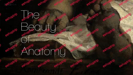 BBC The Beauty of Anatomy 2014