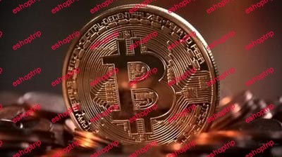 Cryptocurrency Course Learn to Make Money Online WORLDWIDE