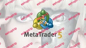 Learn MQL5 Build an 8 Currency Hedging Robot MetaTrader 5