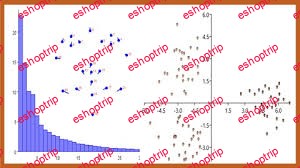 Practical Morphometrics Analysis 2D Model