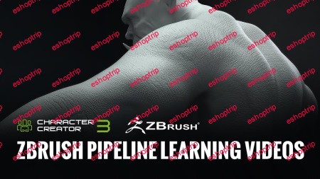 Reallusion Zbrush Pipeline Learning Videos