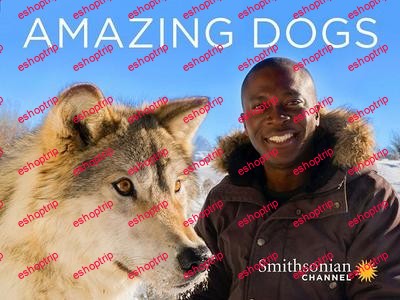 Smithsonian Ch. Amazing Dogs Series 1 2018