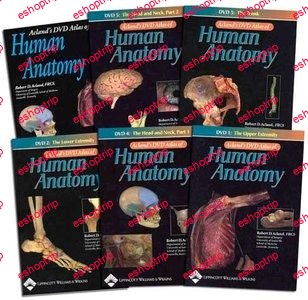 Aclands DVD Atlas of Human Anatomy