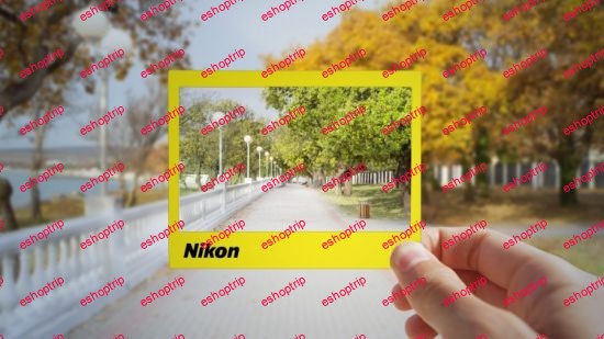 Beginner Nikon Digital SLR DSLR Photography