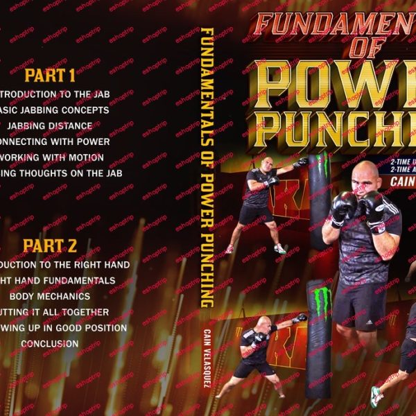 Cain Velasquez Fundamentals of Power Punching 1