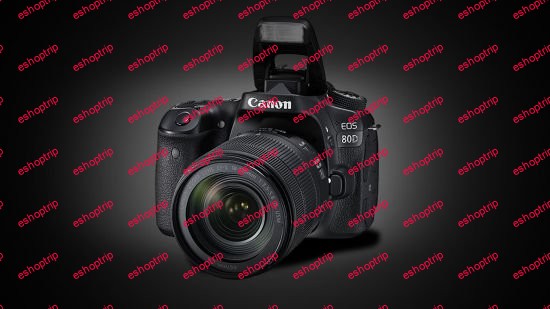 Canon 80D Camera Basics