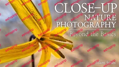 Close Up Nature Photography Beyond the Basics